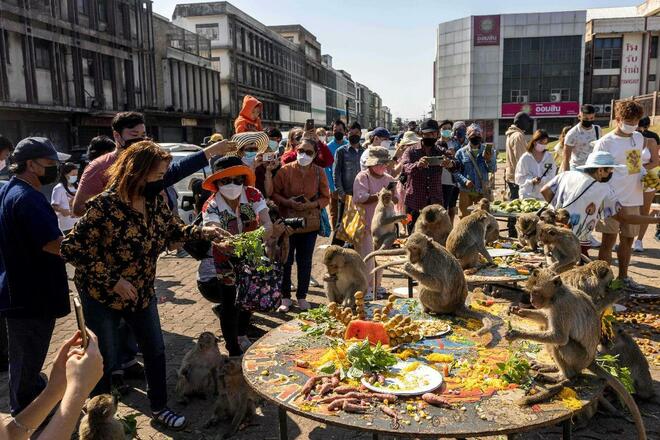 ၃၃ ႀကိမ္ေျမာက္ "ေမ်ာက္ဘူေဖးပြဲေတာ္" ကို ထိုင္းနိုင္ငံ Lopburi ၿမိဳ႕တြင္ က်င္းပ_fororder_微信图片_20211129114710