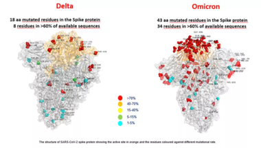 Delta’dan yüzde 37,5 daha bulaşıcı! Omicron’dan nasıl korunacağız?