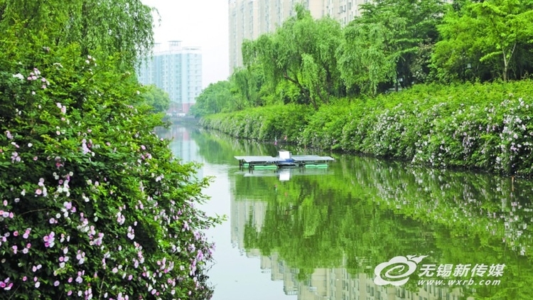 精准施策 水岸同治，无锡多措并举追寻“生态大运河”