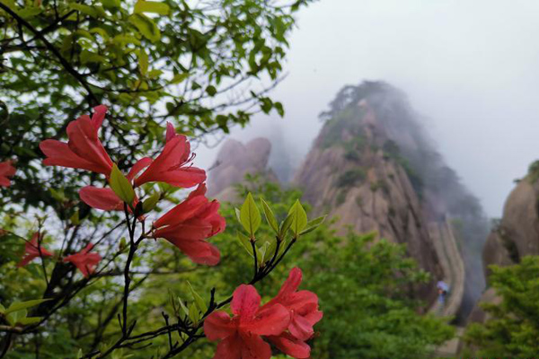 图片默认标题_fororder_huangshan1