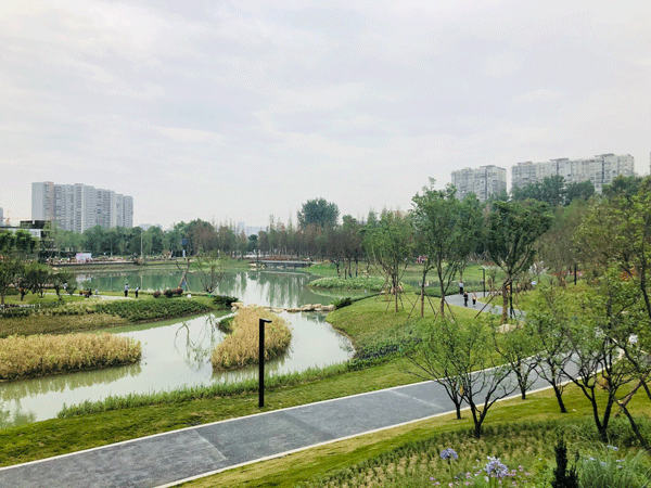 图片默认标题_fororder_4