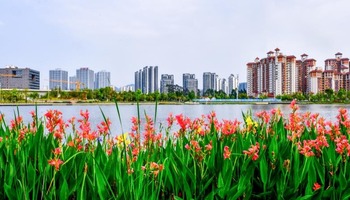 图片默认标题
