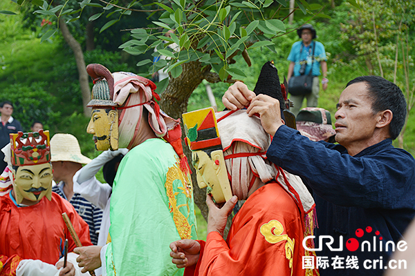 广西环江举行传统毛南族分龙节“纳牛仪式”