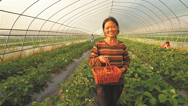 图片默认标题_fororder_5