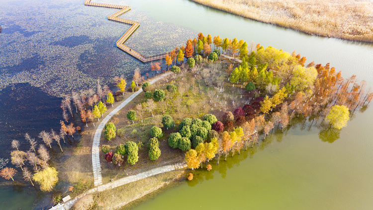美丽江苏·每日一景丨东海西双湖:斑斓冬景生态美