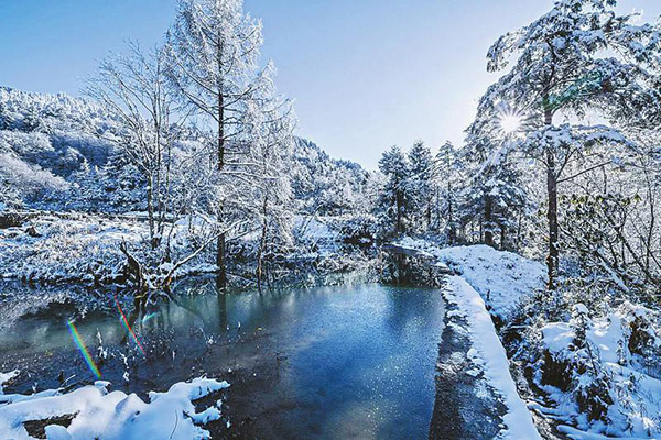 图片默认标题_fororder_2