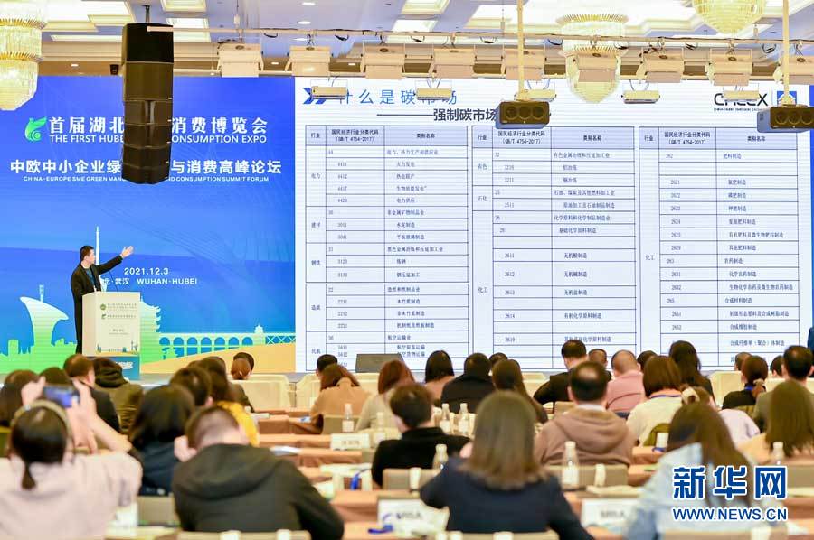 中欧中小企业绿色制造与消费高峰论坛在武汉举行