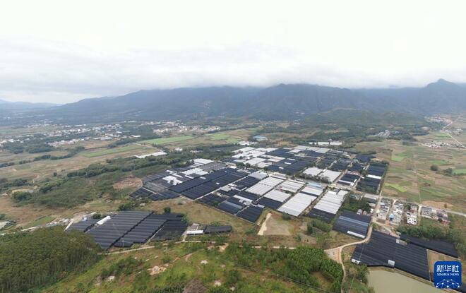 Bunga Orkid Dipasarkan Melalui Internet Bunga Orkid Dipasarkan Melalui Internet_fororder_1128074071_16371521127751n