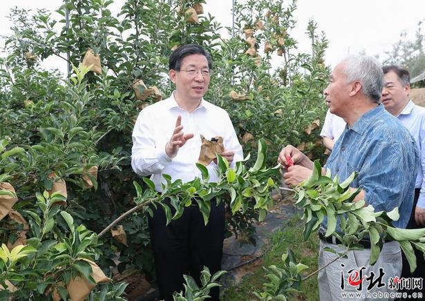 这是王东峰到阜平县平阳镇土门村查看扶贫项目,问计科技专家.