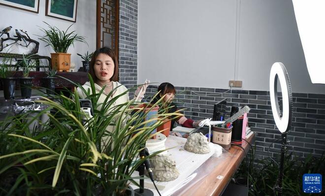 Bunga Orkid Dipasarkan Melalui Internet Bunga Orkid Dipasarkan Melalui Internet_fororder_1128074071_16371521126091n