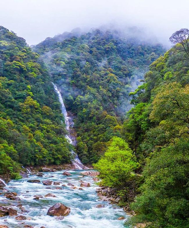 武夷山国家公园：世界“双遗” 万物和谐