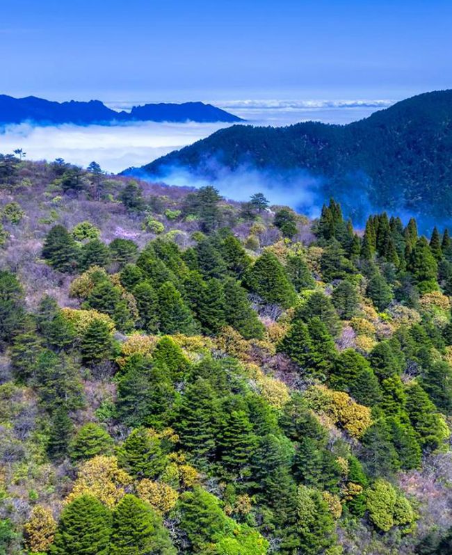 武夷山国家公园：世界“双遗” 万物和谐