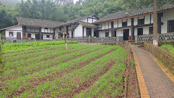 南充西充县跳蹬河村:党建引领壮大村集体经济 助推乡村振兴_fororder_跳蹬河村民居---摄影--张景轩