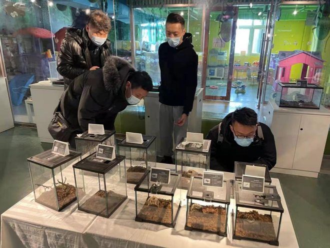 Beijing Kuatkuasakan Undang-undang Khas Pelihara Burung Hijrah_fororder_hn