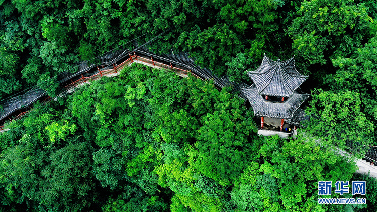 航拍：秦岭“绿都”宁陕 天高云逸山青水碧