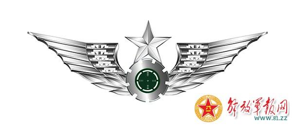 主设计师揭秘解放军15式系列臂章胸标(组图)