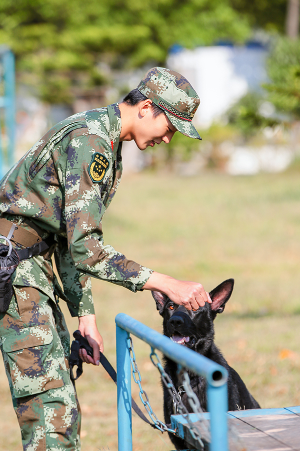 奇兵神犬冯瀚圃遭遇换犬波折泪崩能否重拾信心