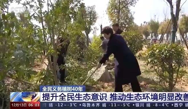 Penanaman Pokok Secara Sukarela China Langkau 78 Bilion Batang Pokok_fororder_1671943473