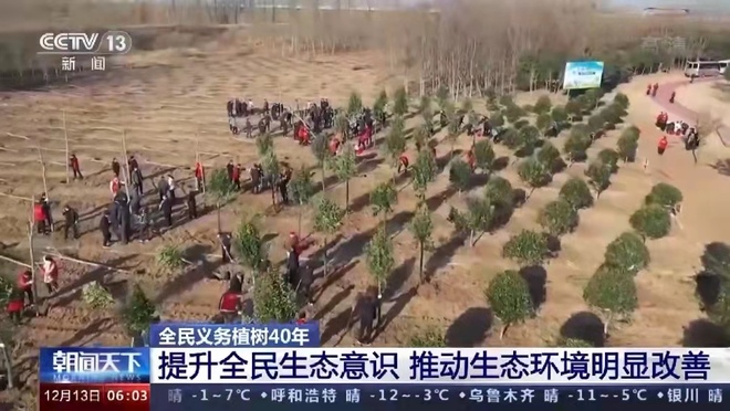 Penanaman Pokok Secara Sukarela China Langkau 78 Bilion Batang Pokok_fororder_1434730801