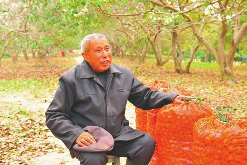【领航新征程】盐碱地上“山楂树之恋”