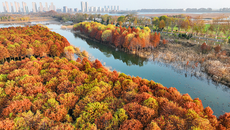 美丽江苏·每日一景丨东海西双湖:斑斓冬景生态美