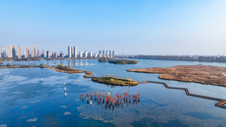 美丽江苏·每日一景丨东海西双湖:斑斓冬景生态美