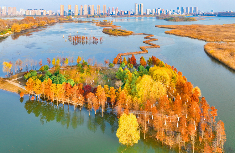 美丽江苏·每日一景丨东海西双湖:斑斓冬景生态美