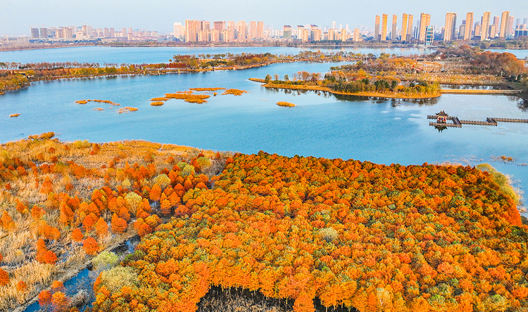 美丽江苏·每日一景丨东海西双湖:斑斓冬景生态美