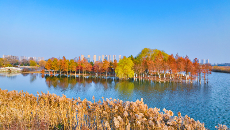 美丽江苏·每日一景丨东海西双湖:斑斓冬景生态美
