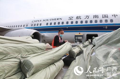 南航在广西执行首个“客改货”航班 6吨物资运往胡志明市
