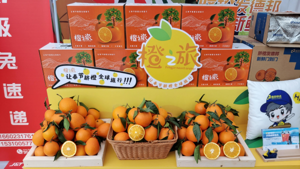 【原创】重庆奉节：40万吨奉节脐橙开园上市_fororder_图片2(1)