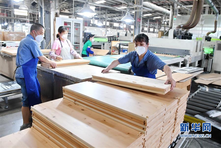 福建南平：木竹外贸企业加快转型升级促进增产增效