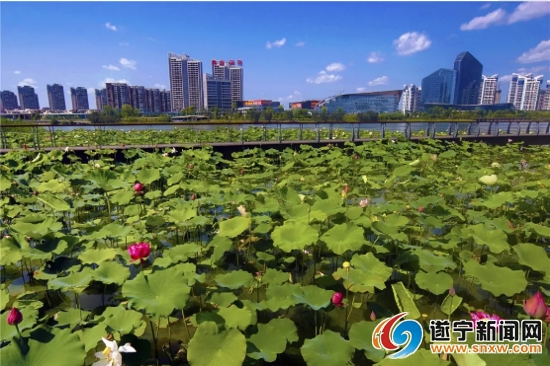 （转载）文旅融合 让遂宁成为向往的“诗和远方”