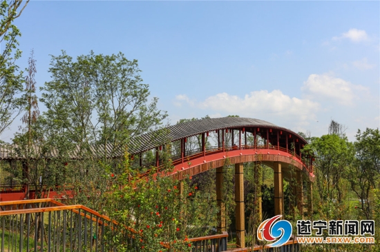 （转载）龙凤源生态公园开园 12处特色景观等你来赏