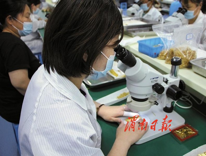 渭南:各方助力 企业发力