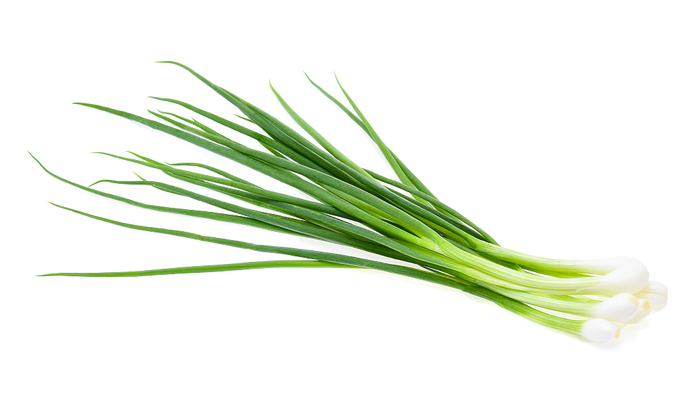 图片默认标题_fororder_葱