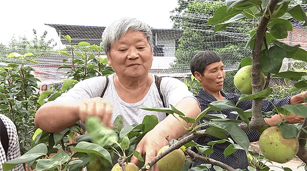 图片默认标题_fororder_1