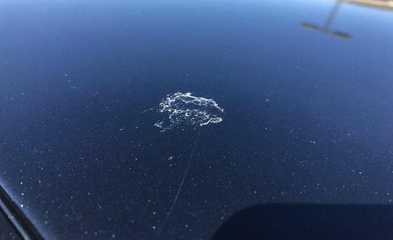 日本GDPPF隐形车衣双十二年终盛典 春节回家更安心! 日本GDPPF隐形车衣双十二年终盛典 春节回家更安心!