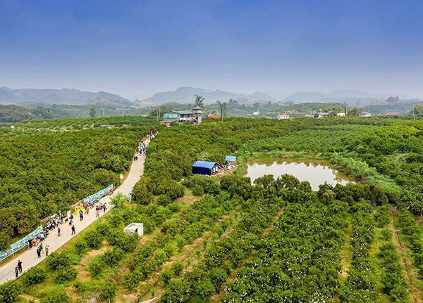 图片默认标题_fororder_1