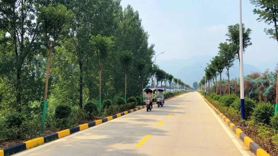 西安市长安区子午街道张村:“五化”铺就幸福路