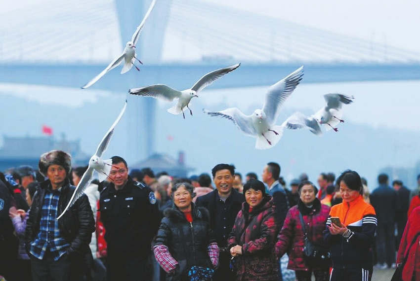 图片默认标题_fororder_3