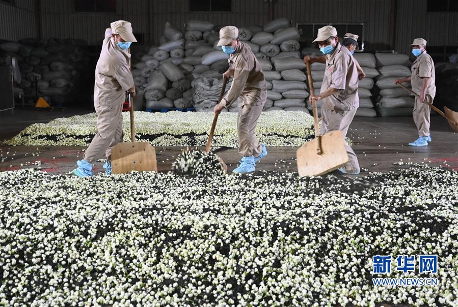 福建省今年前4个月出口茶叶7726吨 同比增长8.7%