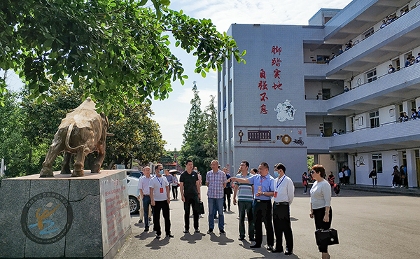 国际在线四川消息:近日,自贡市政协副主席杨廷卫率队到大安区牛佛镇