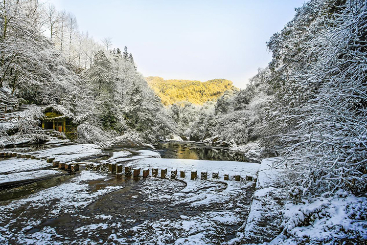 成都邛崃天台山迎来入冬第一场雪冰雪茶花季系列活动将闪亮登场