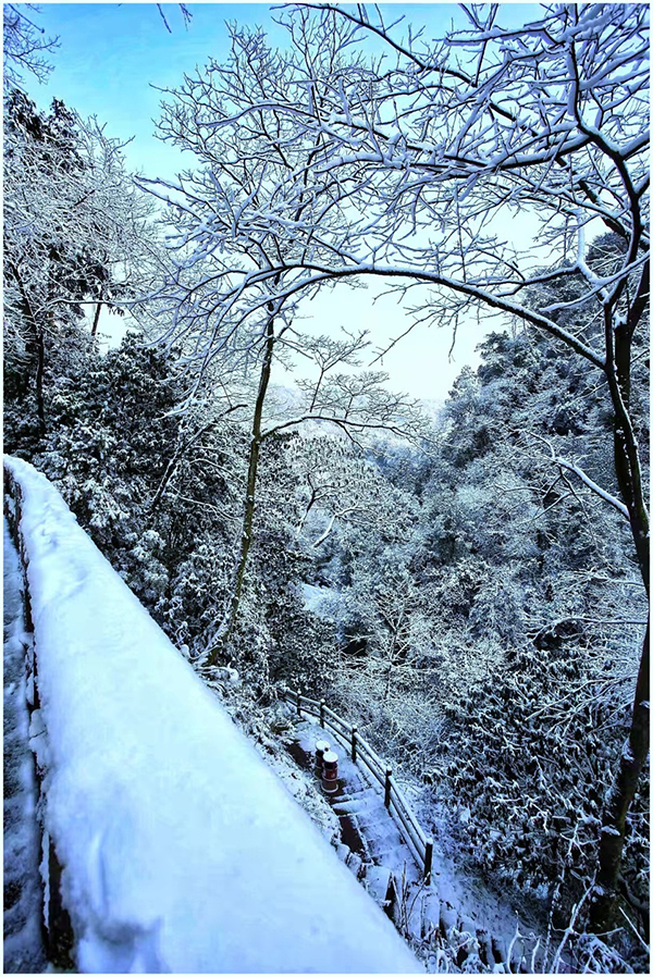 成都邛崃天台山迎来入冬第一场雪冰雪茶花季系列活动将闪亮登场