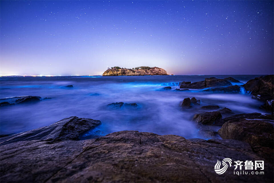 组图|威海现绝美“荧光海” 夺目似星河