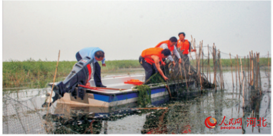 衡水湖：擦亮“华北绿明珠”谱写全域旅游新诗篇