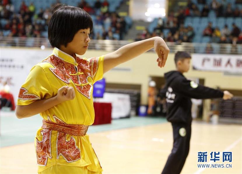 第四届国际咏春拳大赛在广东佛山举行