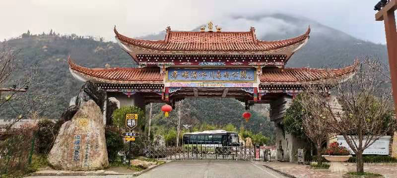 海螺沟正式开启冰川温泉“冰火两重天”冬季旅游_fororder_海螺沟景区-供图-海螺沟景区管理局-(3)