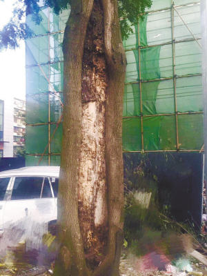 图片默认标题_fororder_2